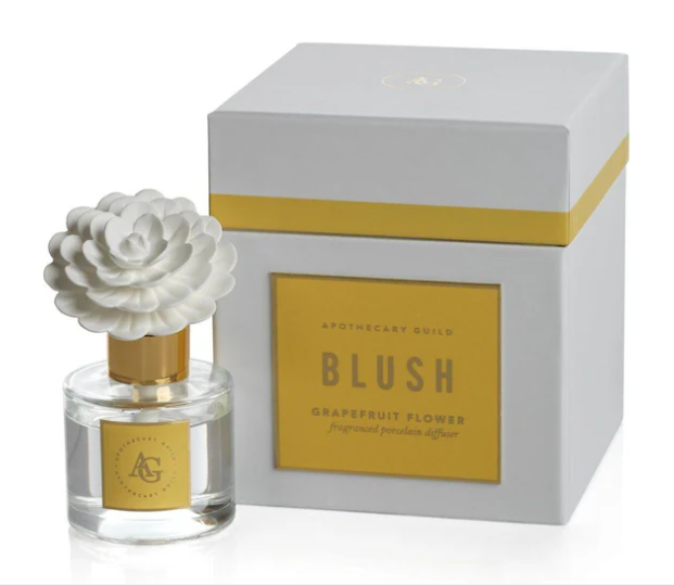 Zodax Blush Porcelain Diffuser