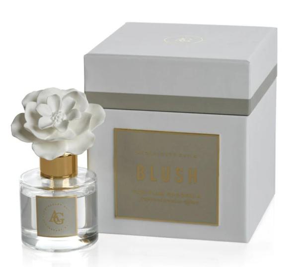 Zodax Blush Porcelain Diffuser