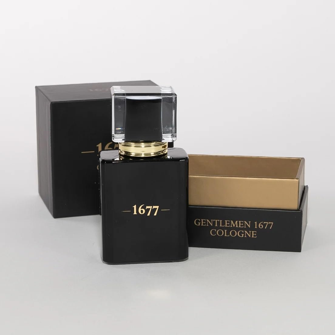 Lady Primrose Gentlemen 1677 Cologne