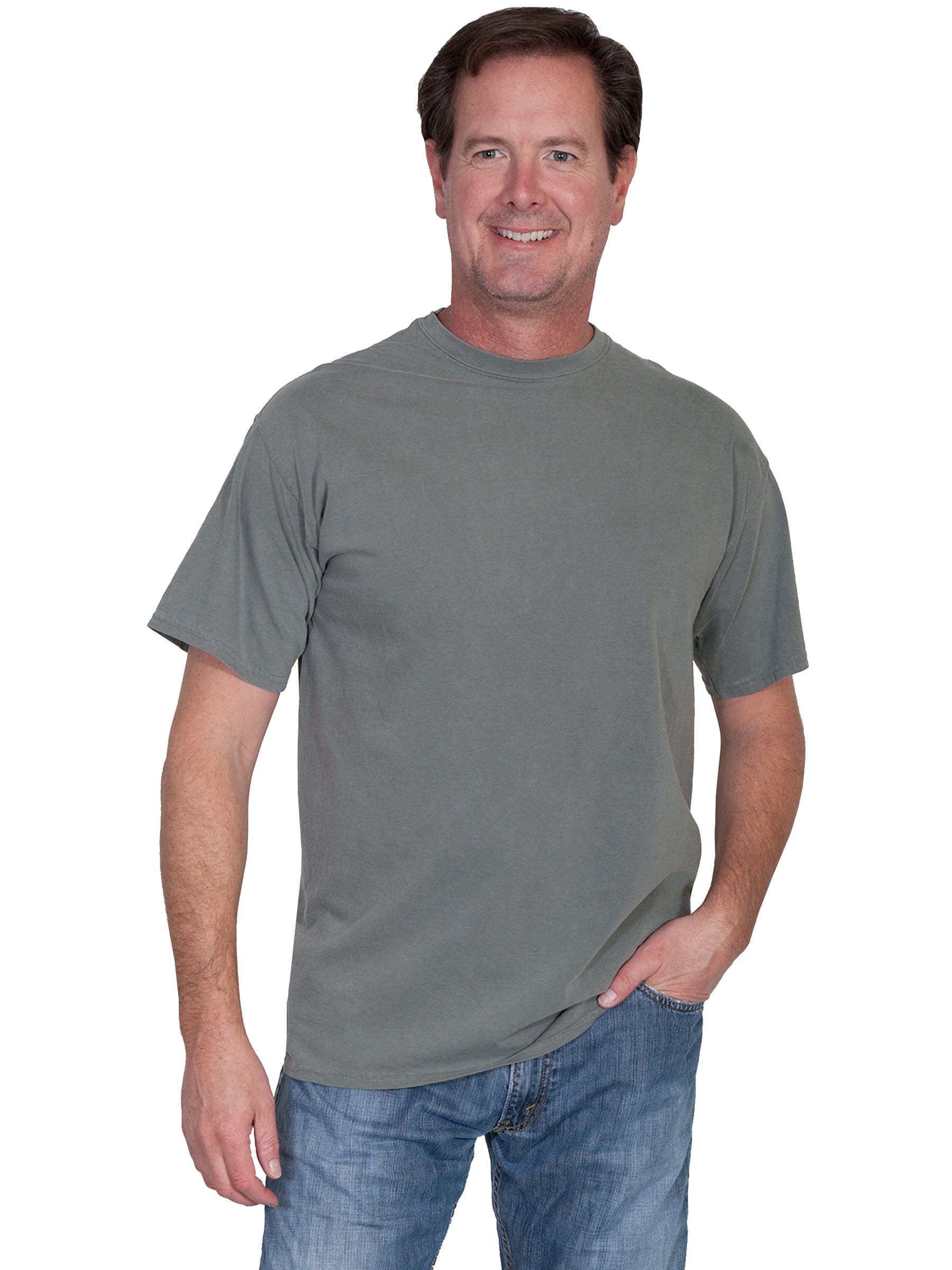Scully Men's Short Sleeve Tee Shirt in Sage
