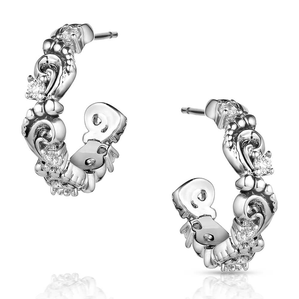 Montana Silversmiths Windblown Elegance Crystal Earrings