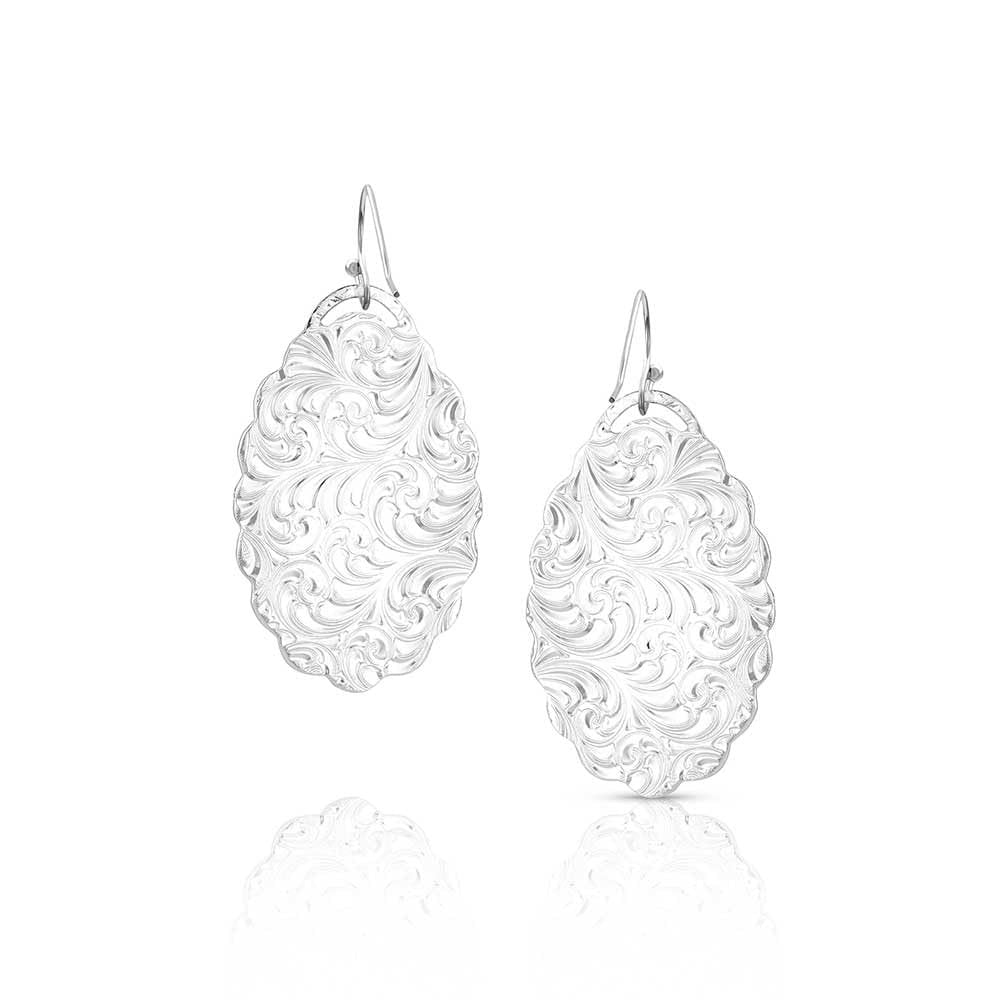 Montana Silversmiths Desert Stone Earrings