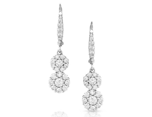 Montana Silversmiths Western Lifestyle Inspired Dangle Earrings (Double Pirouette Crystal)