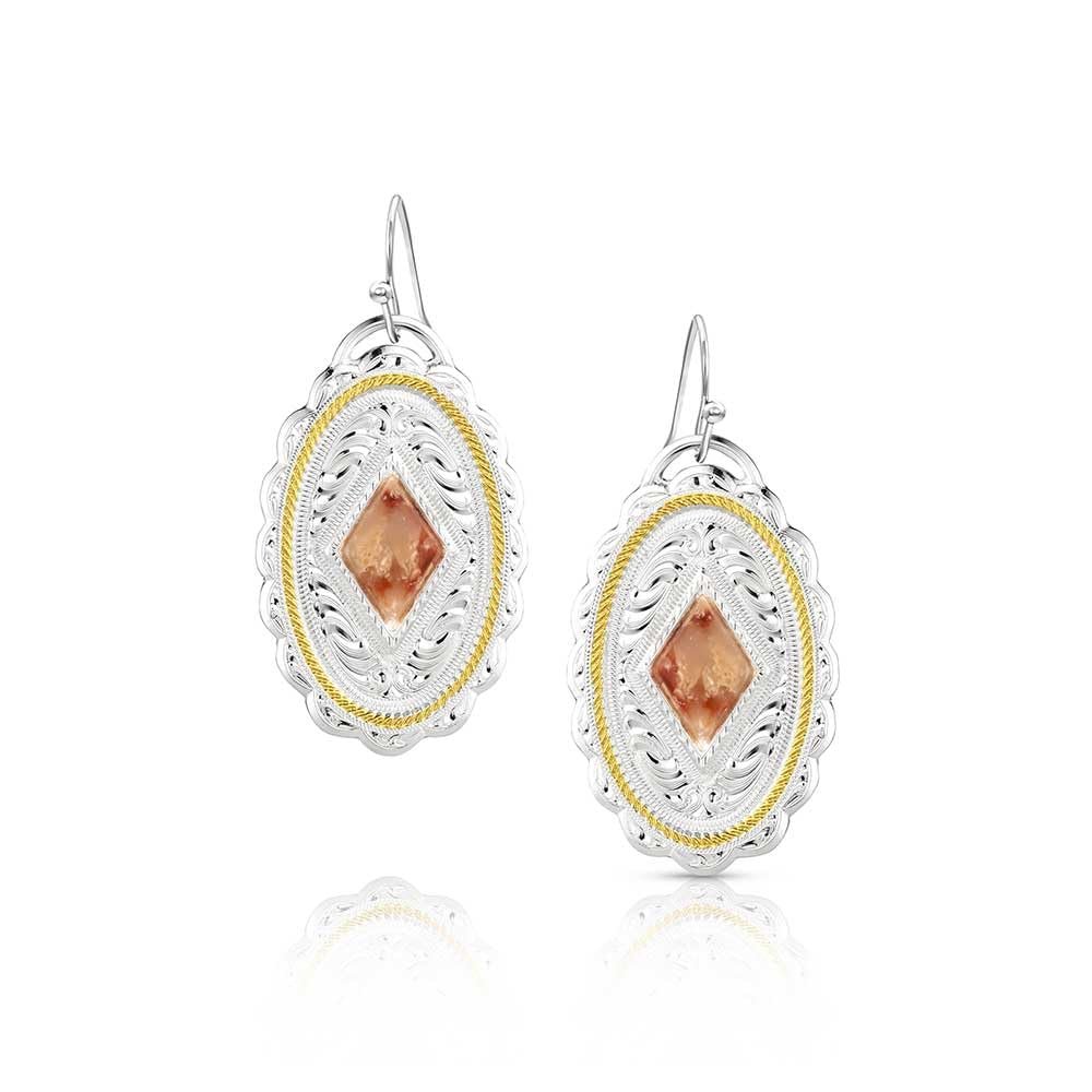 Montana Silversmiths Desert Stone Earrings